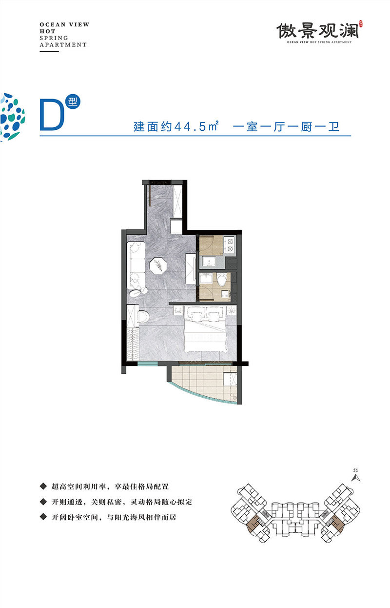 傲景觀瀾國(guó)際溫泉公寓傲景觀瀾國(guó)際溫泉公寓 D戶型